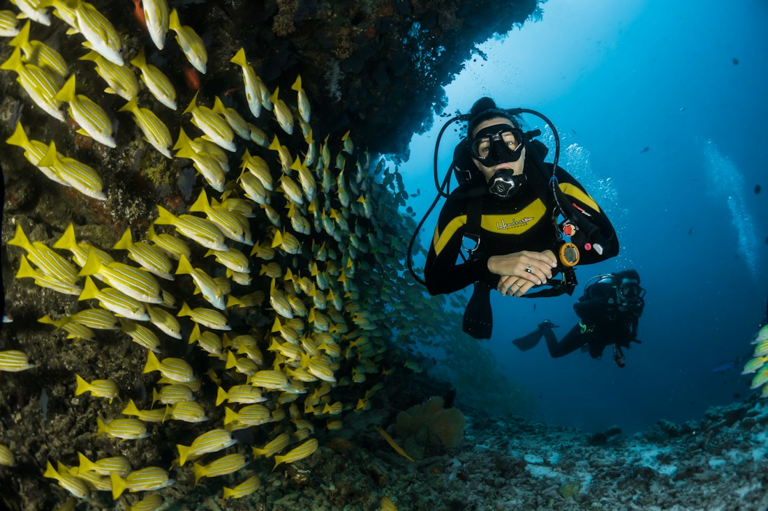 Experiência no mar, imagem ilustrativa